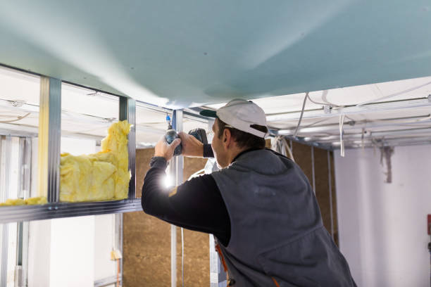 Best Eco-Friendly Insulation in Redgranite, WI
